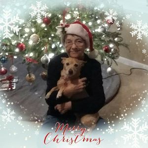 Meet your Posher, Lynne